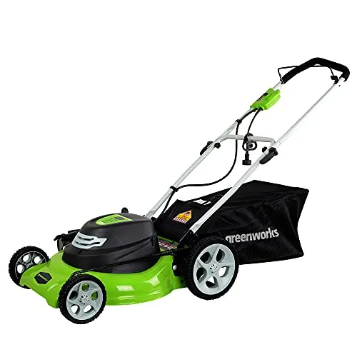 Greenworks 25022
