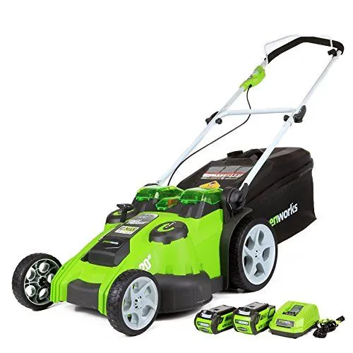 Greenworks 25302